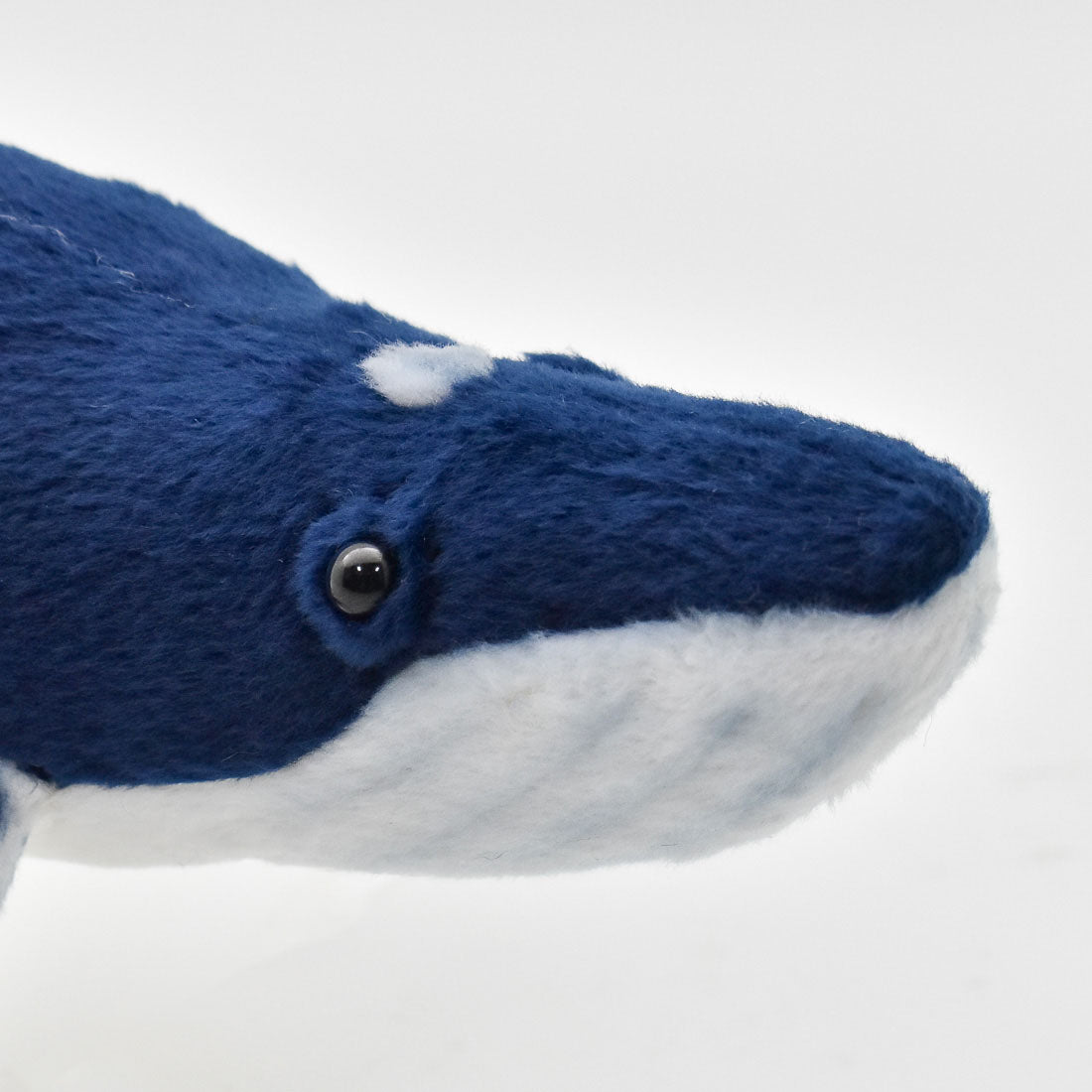 Humpback Whale 35 cm | Hansa Creation (Knølhval) Detail - Bamsedyra AS