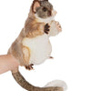 Brush Tailed Possum Hand Puppet | Hansa Creation - Bamsedyra AS