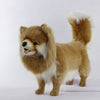 Pomeranian Dog Standing 65 cm | Hansa Creation - Bamsedyra AS