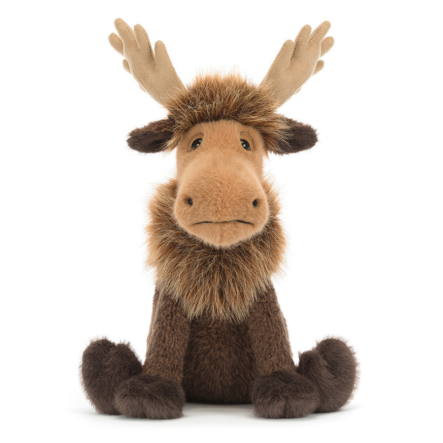 Birchly Moose detalj av gevir