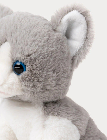 Kosedyr Katt Mojje | Teddykompaniet - Bamsedyra AS