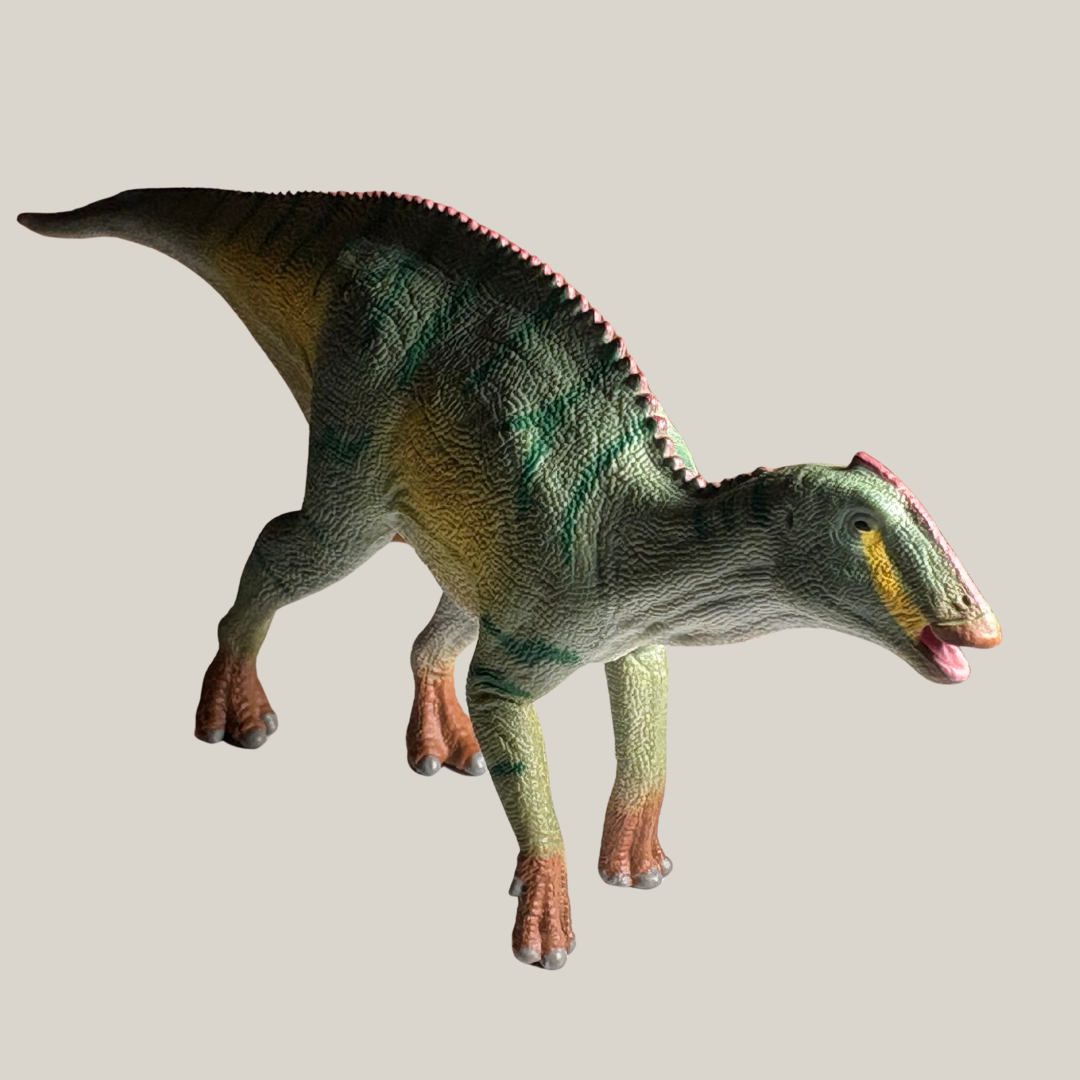 CollectA Kamuysaurus Figure Side View - Bamsedyra AS