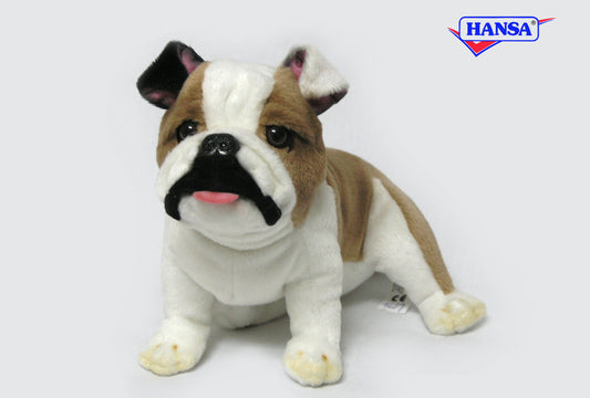 Hansa Creation | Bulldog Sitting | Brun/Hvit | ca. 19 cm - Bamsedyra AS