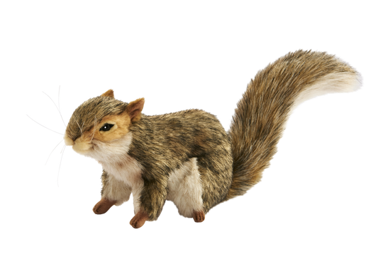 Hansa Creation | Gray Squirrel | Grå | ca. 22 cm - Bamsedyra AS