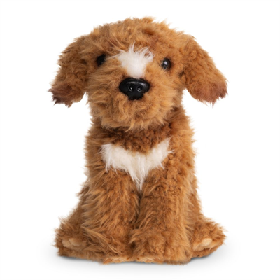 Labradoodle Hund Kosedyr Brun | Living Nature - Bamsedyra AS