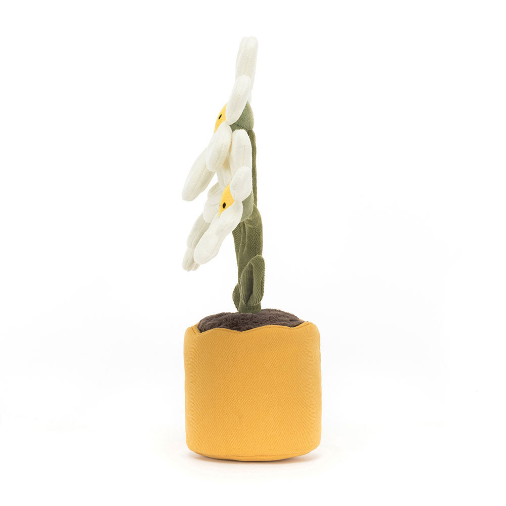 Amuseables Daisy | Jellycat Detail - Bamsedyra AS