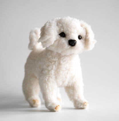 Bichon Frise Hund Bamse 21 cm | Hansa Creation - Bamsedyra AS