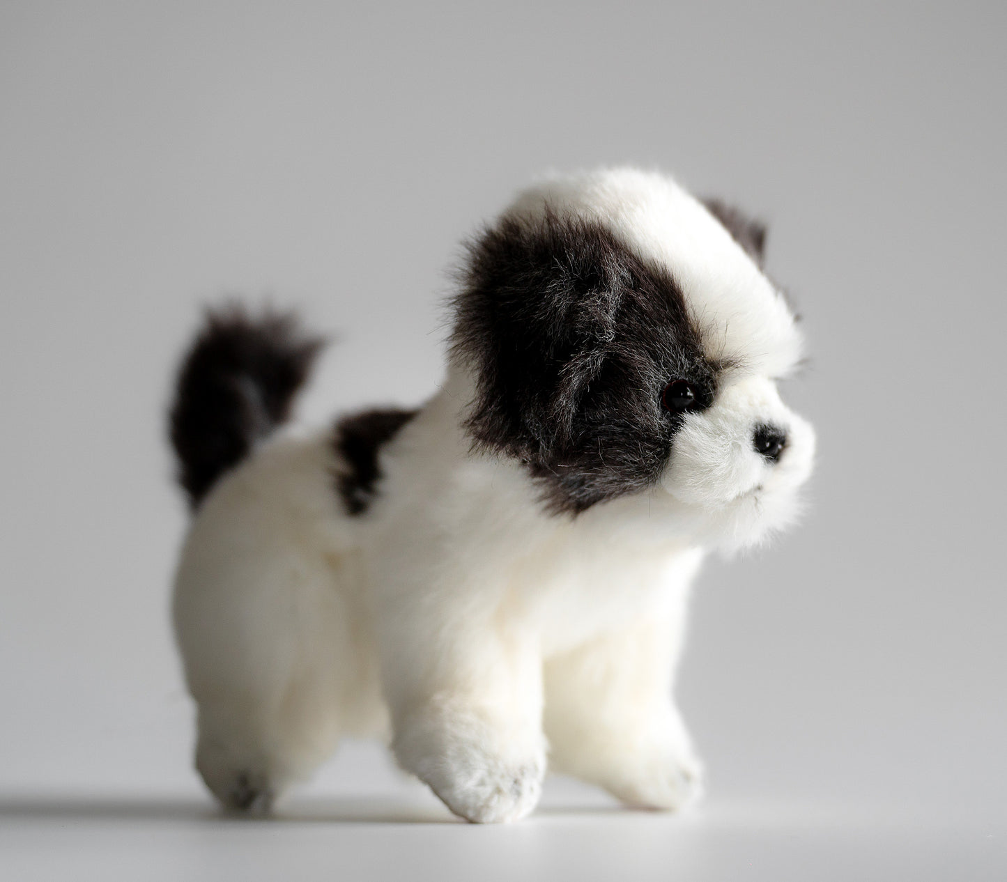 Teacup Shih Tzu Hundebamse Hansa Creation - Bamsedyra AS