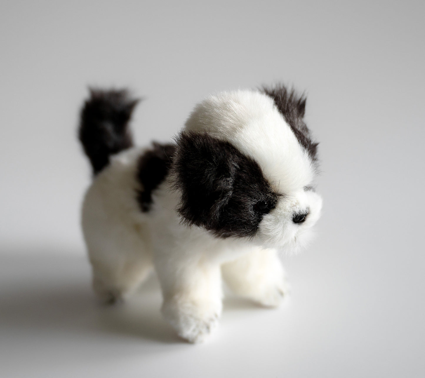 Teacup Shih Tzu Hundebamse Hansa Creation Side View - Bamsedyra AS