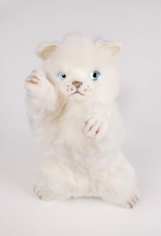 Playful Kitten Katt Kosedyr 26 cm | Hansa Creation - Bamsedyra AS