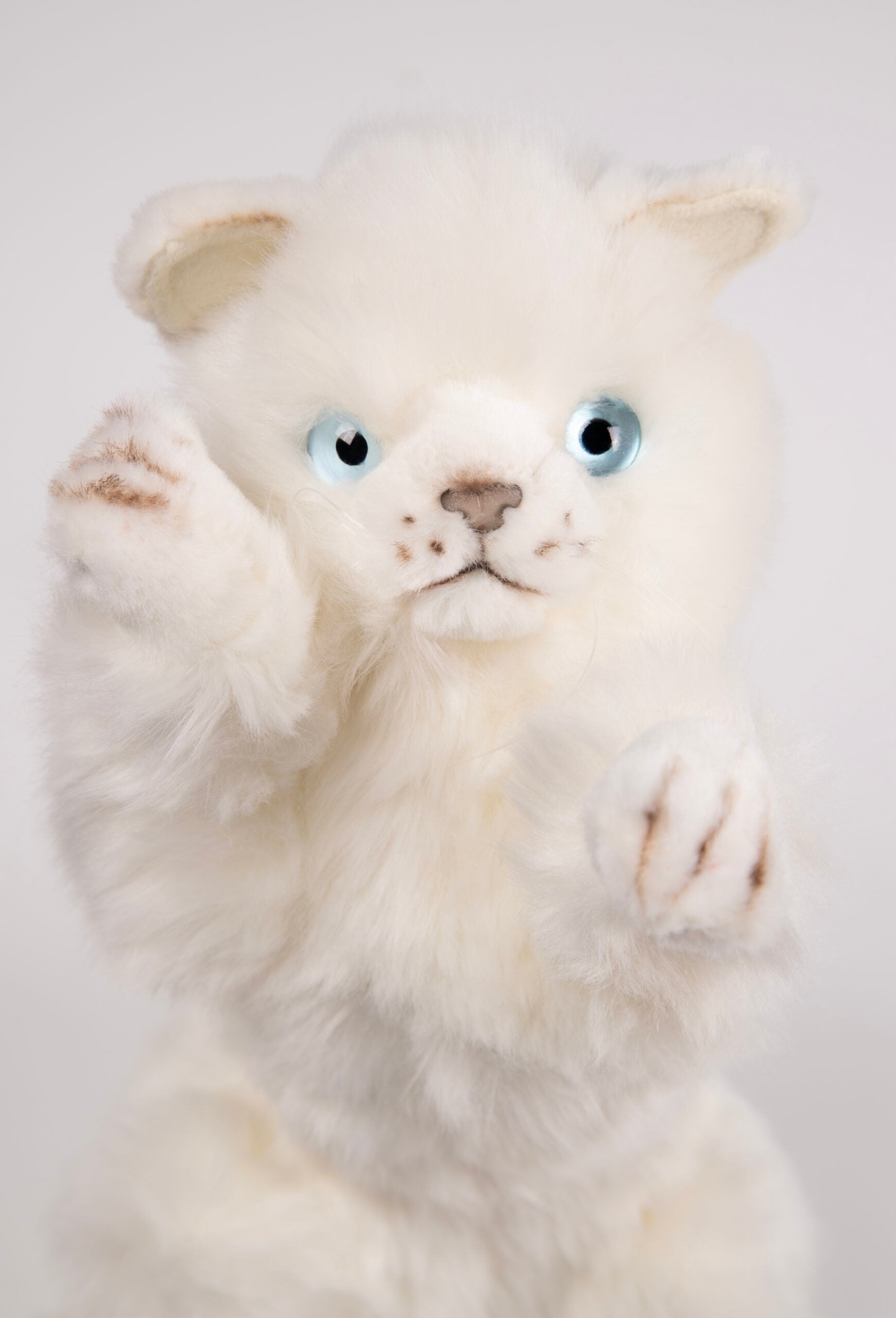 Playful Kitten Katt Kosedyr 26 cm | Hansa Creation - Bamsedyra AS