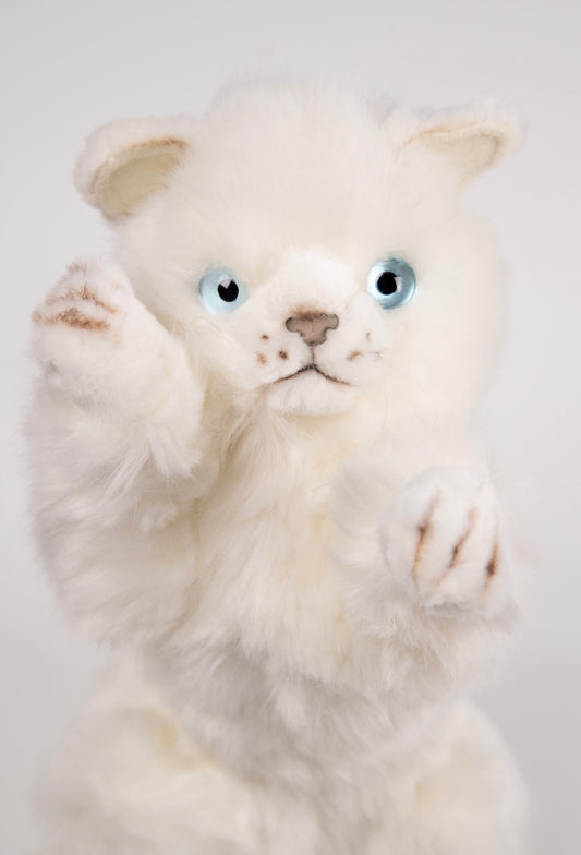Playful Kitten Katt Kosedyr 26 cm | Hansa Creation - Bamsedyra AS