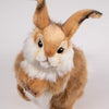 Brun Kanin 30 cm | Hansa Creation - Bamsedyra AS
