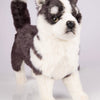 Hansa Creation | Husky Puppy Standing | Grå/Hvit | ca. 43 cm - Bamsedyra AS