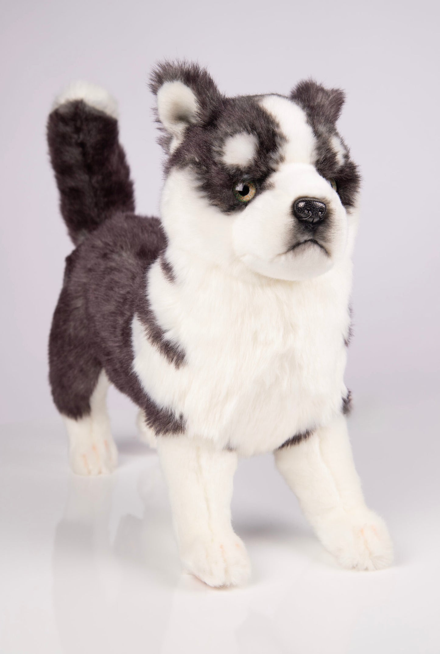 Hansa Creation | Husky Puppy Standing | Grå/Hvit | ca. 43 cm - Bamsedyra AS