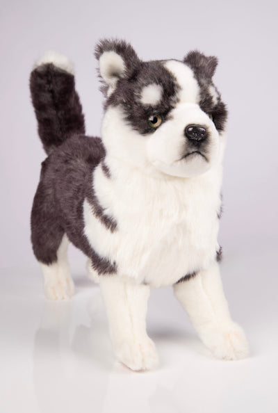 Hansa Creation | Husky Puppy Standing | Grå/Hvit | ca. 43 cm - Bamsedyra AS