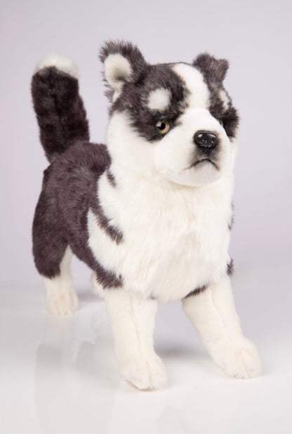 Hansa Creation | Husky Puppy Standing | Grå/Hvit | ca. 43 cm - Bamsedyra AS