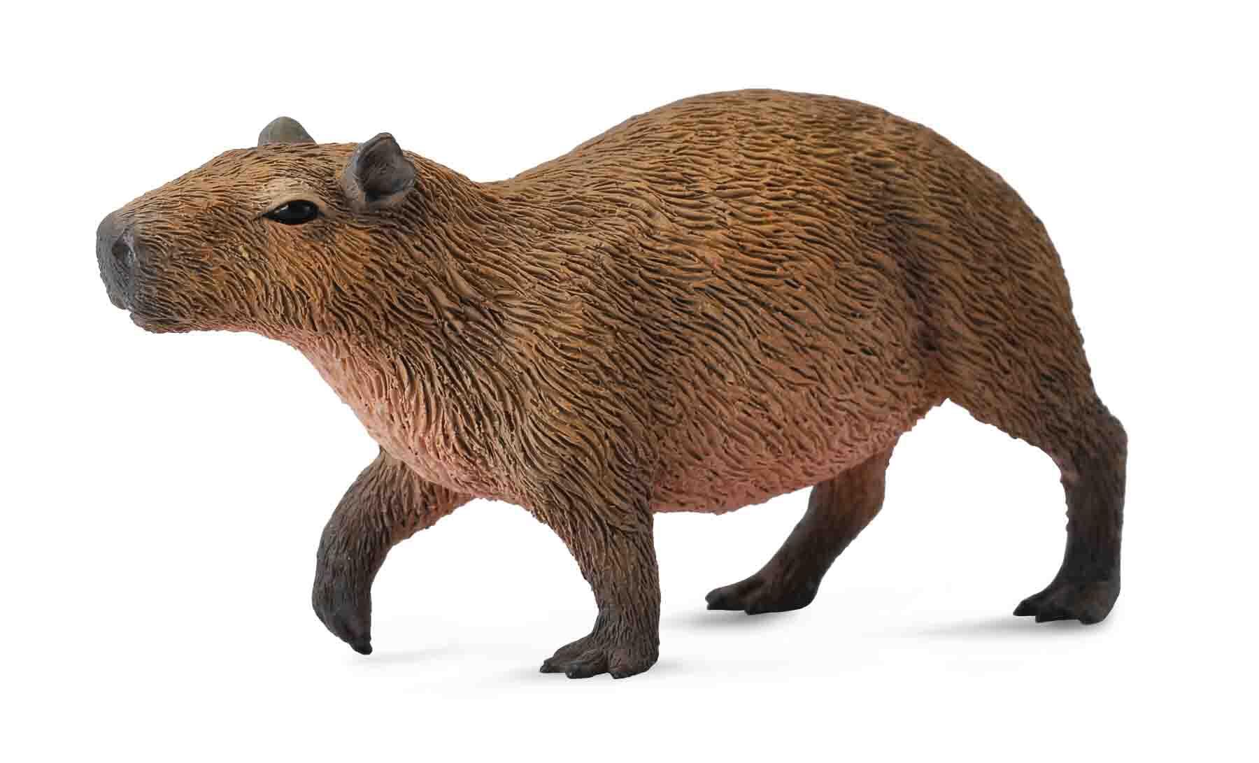 Flodsvin Capybara 7,5 cm dyrefigur | CollectA - Bamsedyra AS