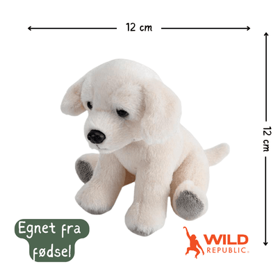 Pocketkins Eco Dog Plush | Wild Republic - Bamsedyra AS