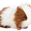 Brown and White Guinea Pig Plush | Hansa Creation - Bamsedyra AS