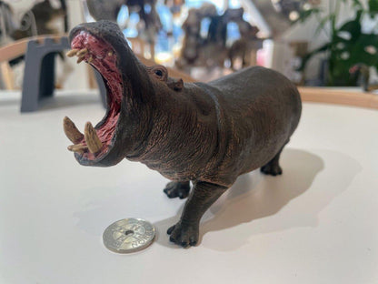 CollectA Hippopotamus - Bamsedyra AS