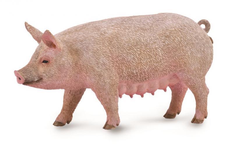Sow Pig Figure | CollectA - Bamsedyra AS