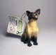 CollectA Siamese Cat - Bamsedyra AS