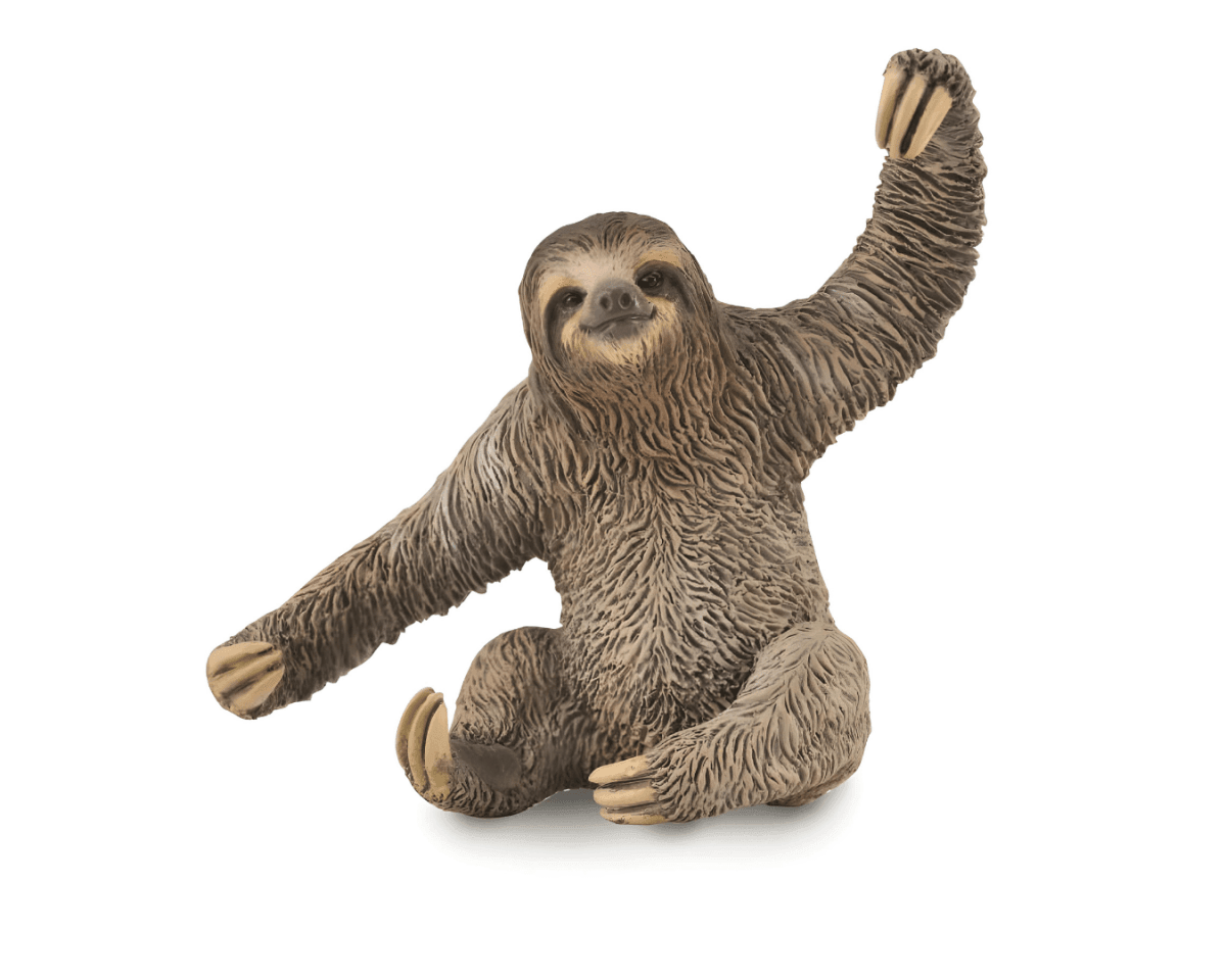 CollectA Sloth - Bamsedyra AS