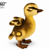 Mallard Duckling Teddy | Hansa Creation | 14cm