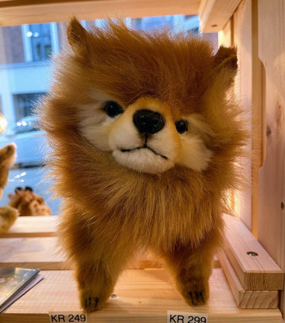 Pomeranian Hund Kosedyr 23 cm | Hansa Creation - Bamsedyra AS