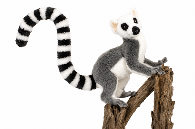 Lemur Plush Toy | Hansa Creation | 30cm