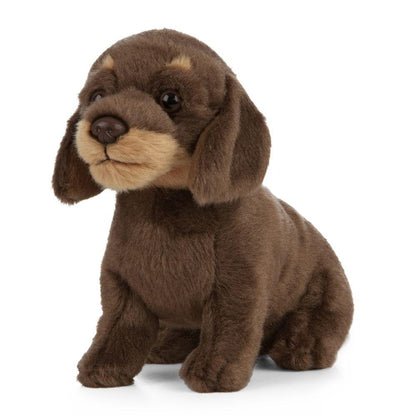 Hund Bamse Dachshund Valp | Living Nature - Bamsedyra AS